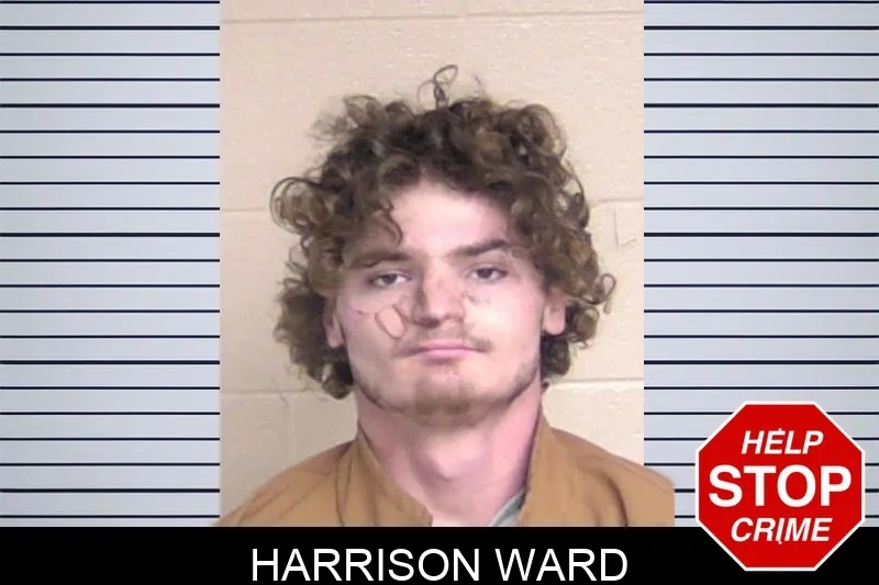 Harrison Ward mugshot