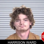 Harrison Ward mugshot