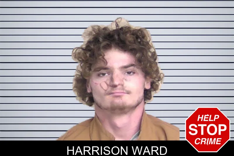 Harrison Ward mugshot