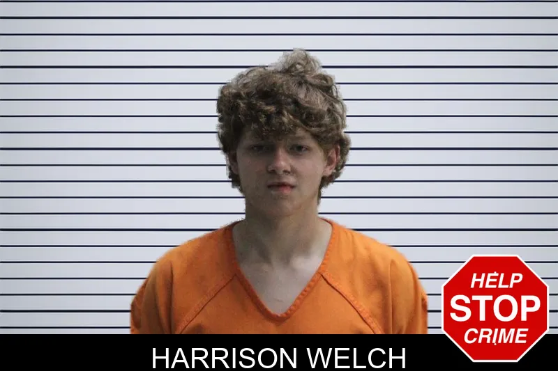 Harrison Welch mugshot
