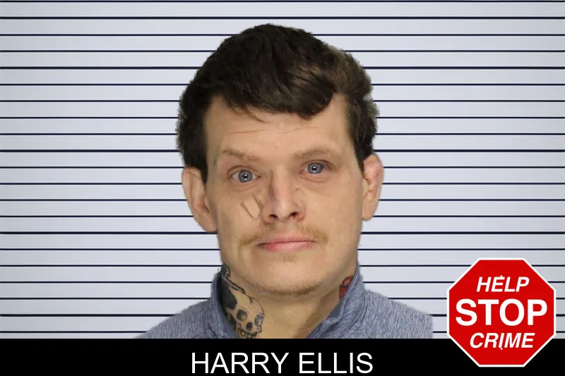 Harry Ellis mugshot