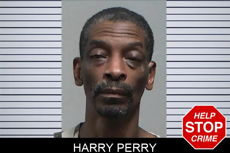 Harry Perry mugshot