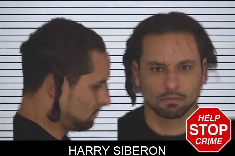 Harry Siberon mugshot