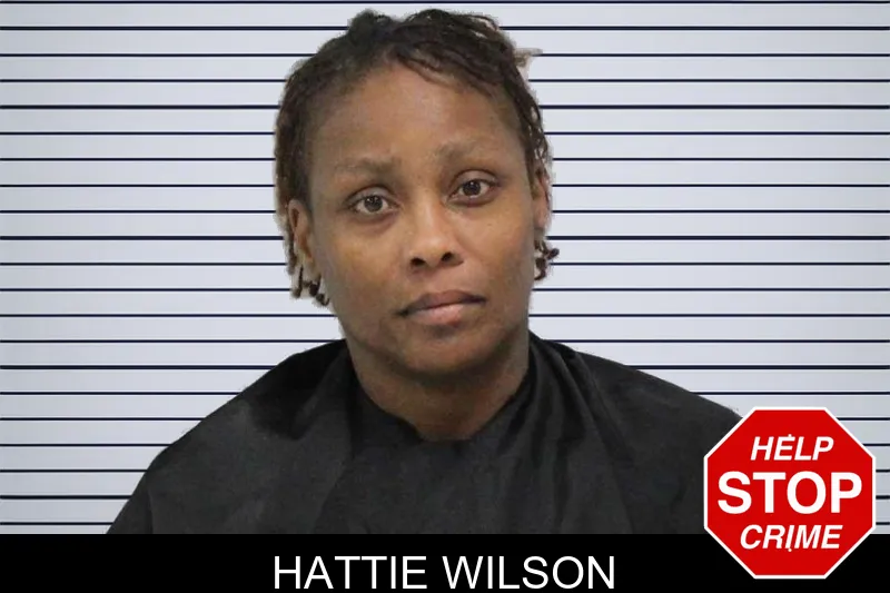 Hattie Wilson mugshot