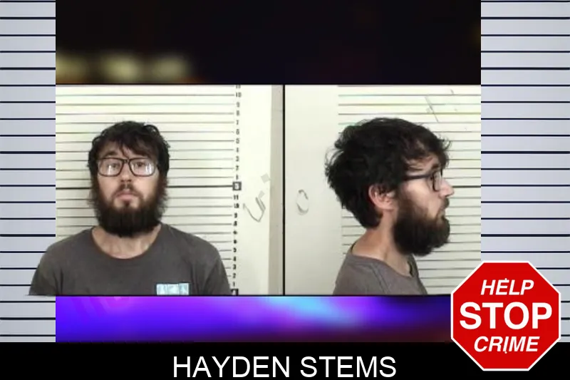 Hayden Stems mugshot – Camden County , Georgia Hayden Stems mugshot