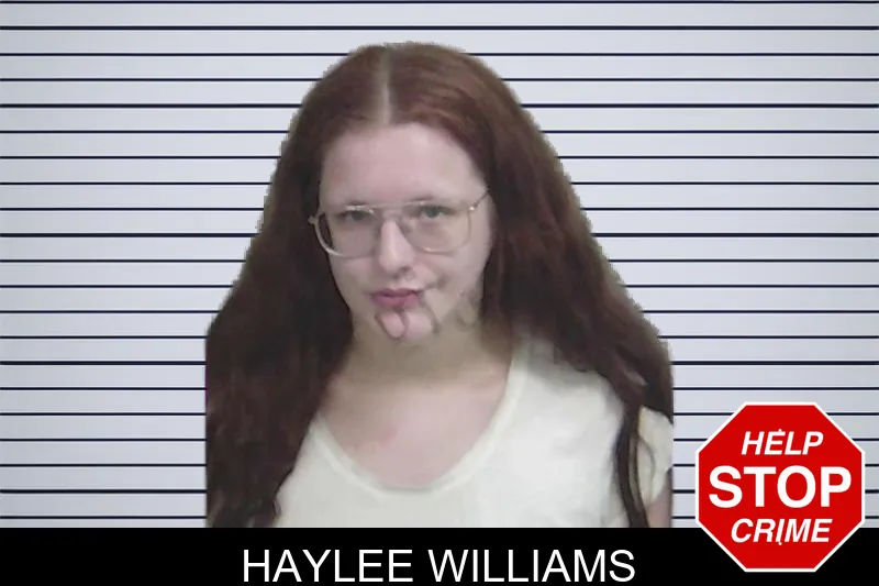 Haylee Williams mugshot