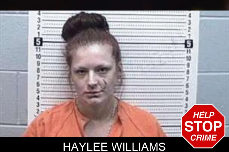 Haylee Williams mugshot – Tattnall County , Georgia Haylee Williams mugshot