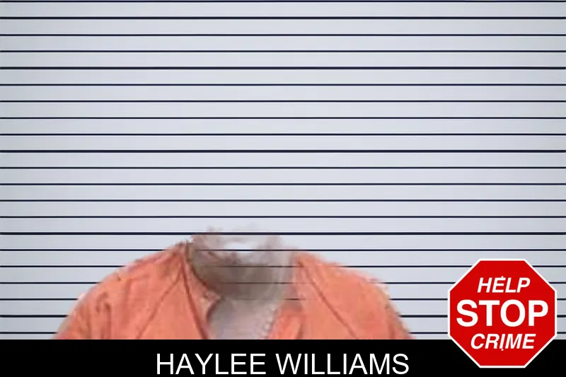Haylee Williams mugshot