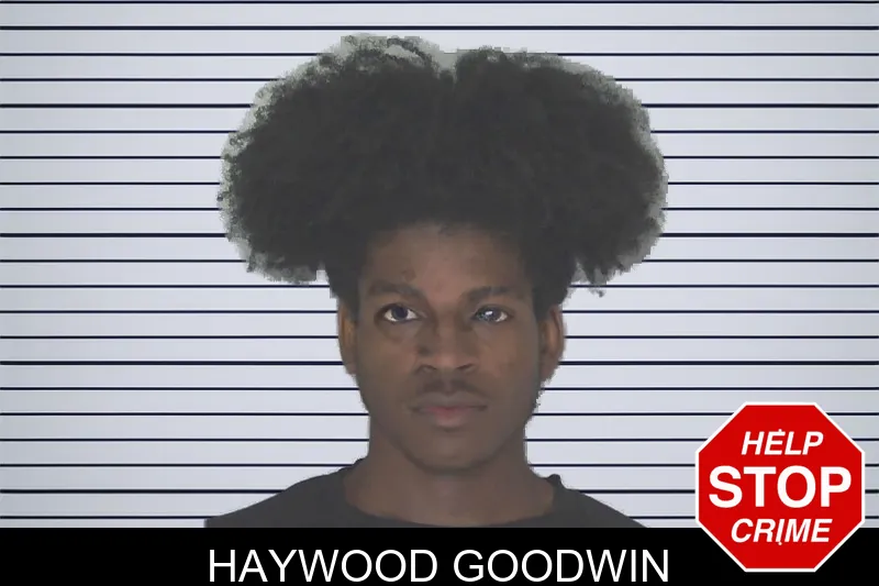 Haywood Goodwin mugshot