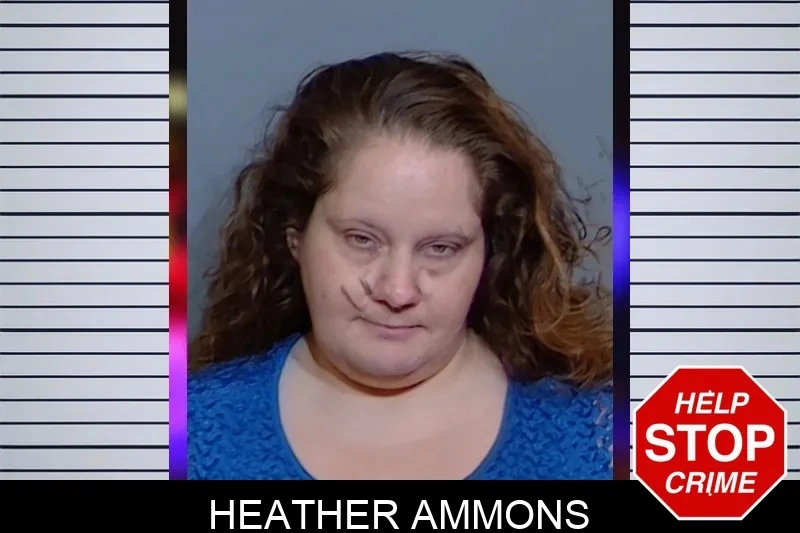 Heather Ammons mugshot