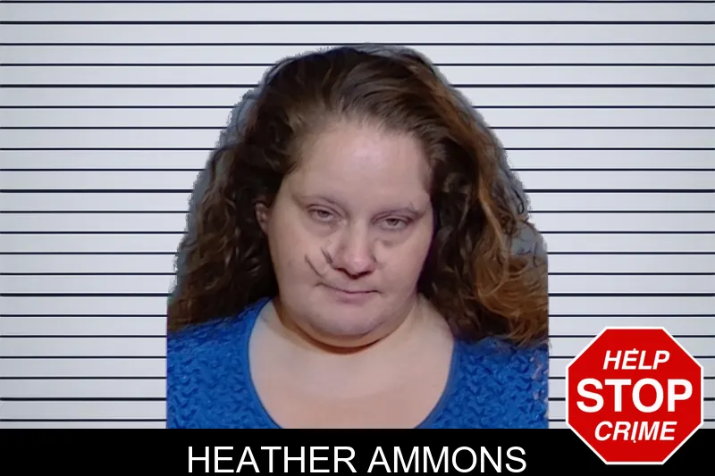 Heather Ammons mugshot