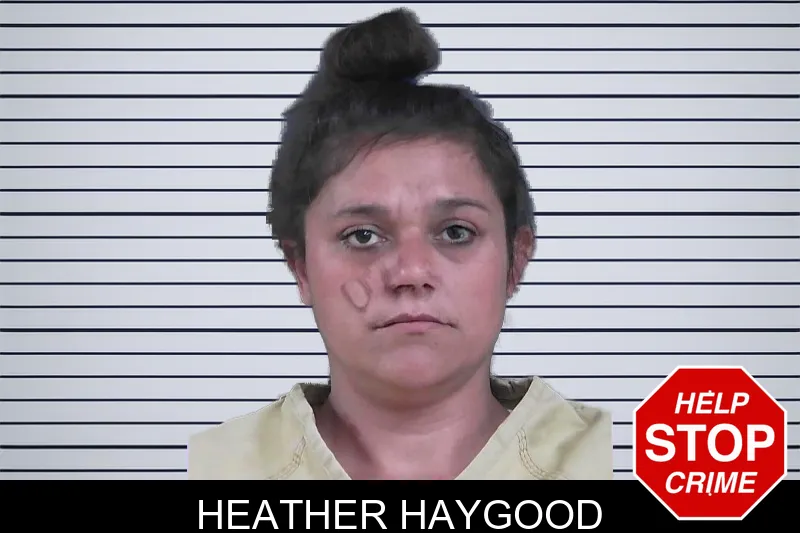 Heather Haygood mugshot – Gordon County , Georgia Heather Haygood mugshot