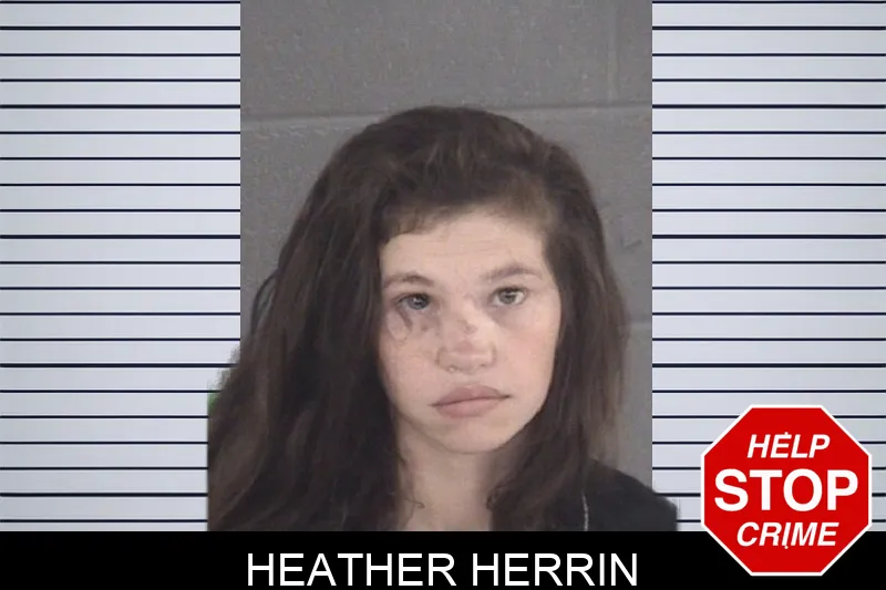 Heather Herrin mugshot