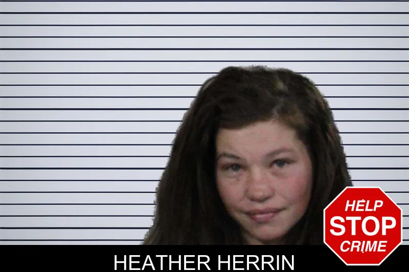 Heather Herrin mugshot