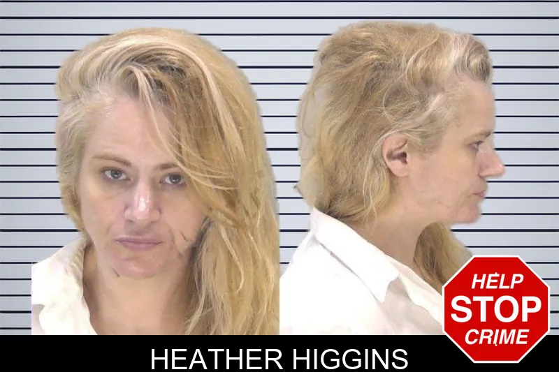 Heather Higgins mugshot