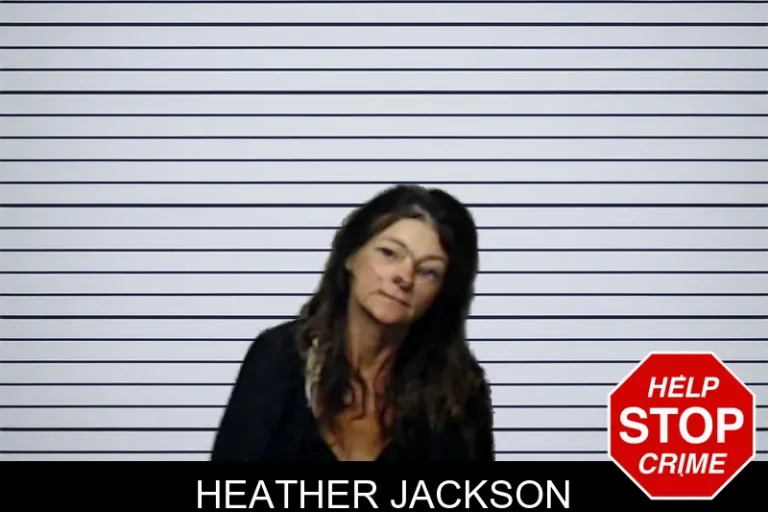 Heather Jackson mugshot – DeKalb County , Georgia Heather Jackson