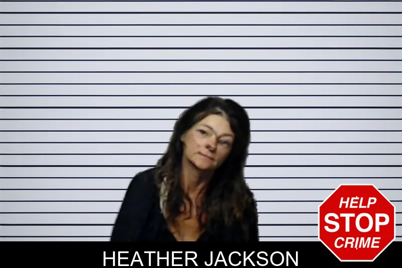 Heather Jackson mugshot – DeKalb County , Georgia Heather Jackson mugshot