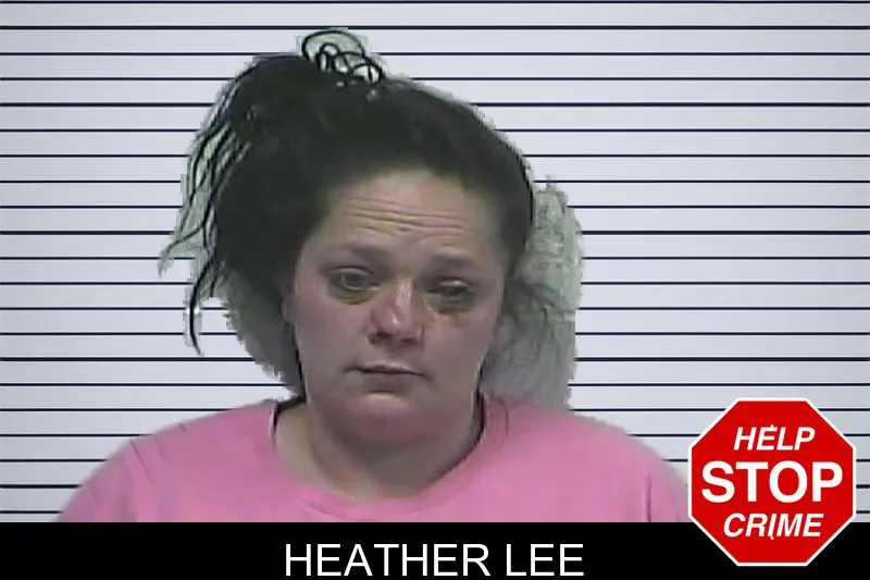 Heather Lee mugshot