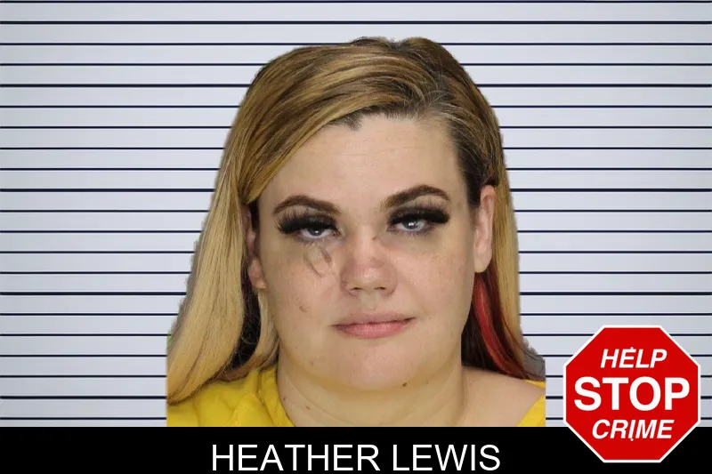 Heather Lewis mugshot