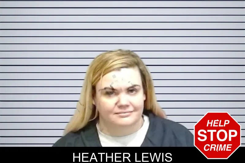 Heather Lewis mugshot – Fulton County , Georgia Heather Lewis mugshot