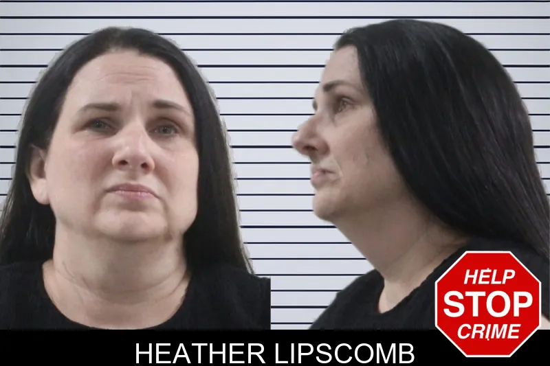 Heather Lipscomb mugshot – Houston County , Georgia Heather Lipscomb mugshot