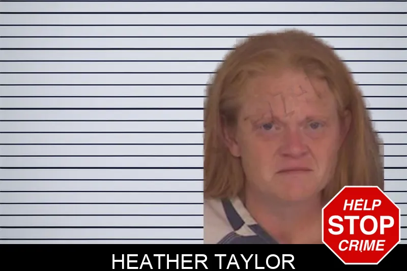 Heather Taylor mugshot