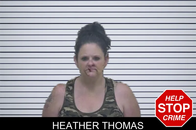 Heather Thomas mugshot