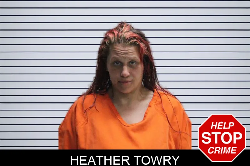 Heather Towry mugshot