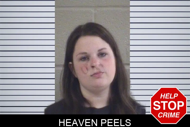 Heaven Peels mugshot – Whitfield County , Georgia Heaven Peels mugshot