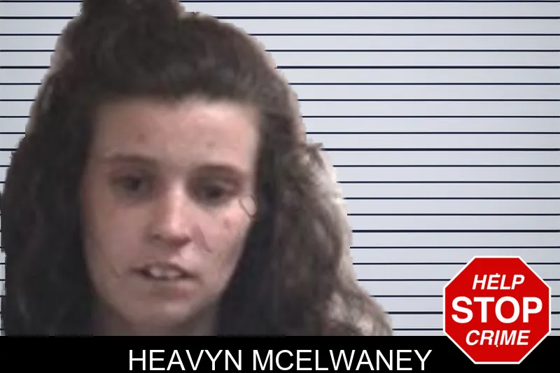 Heavyn McElwaney mugshot – Henry County , Georgia Heavyn McElwaney mugshot