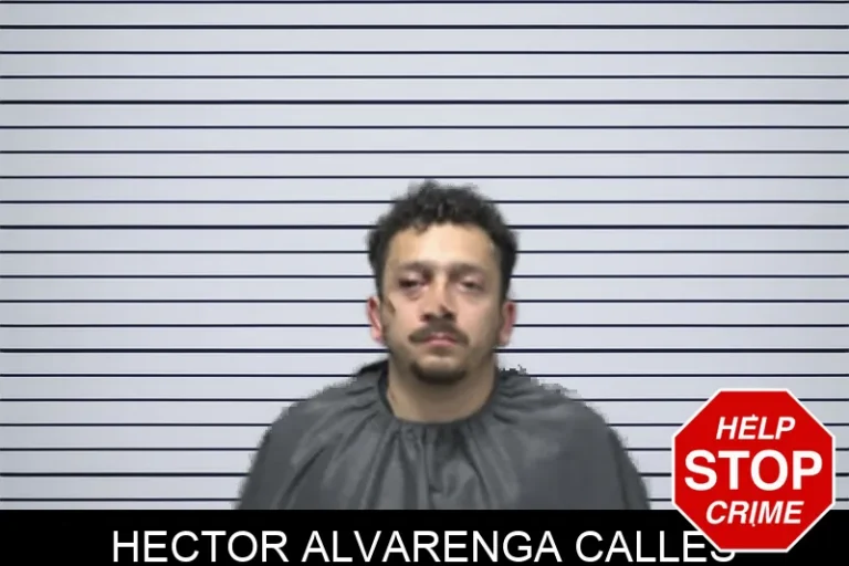 Hector Alvarenga Calles