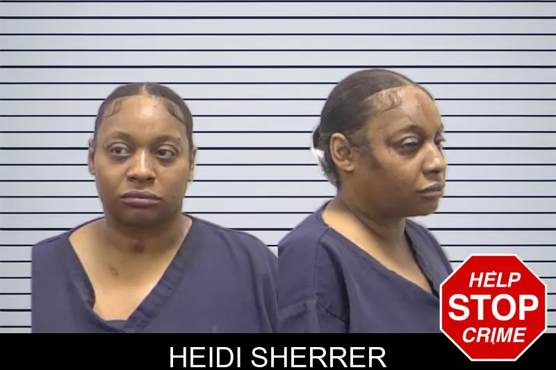 Heidi Sherrer mugshot