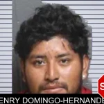 Henry Domingo-Hernandez mugshot