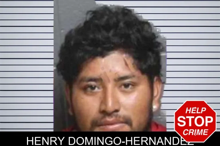 Henry Domingo-Hernandez