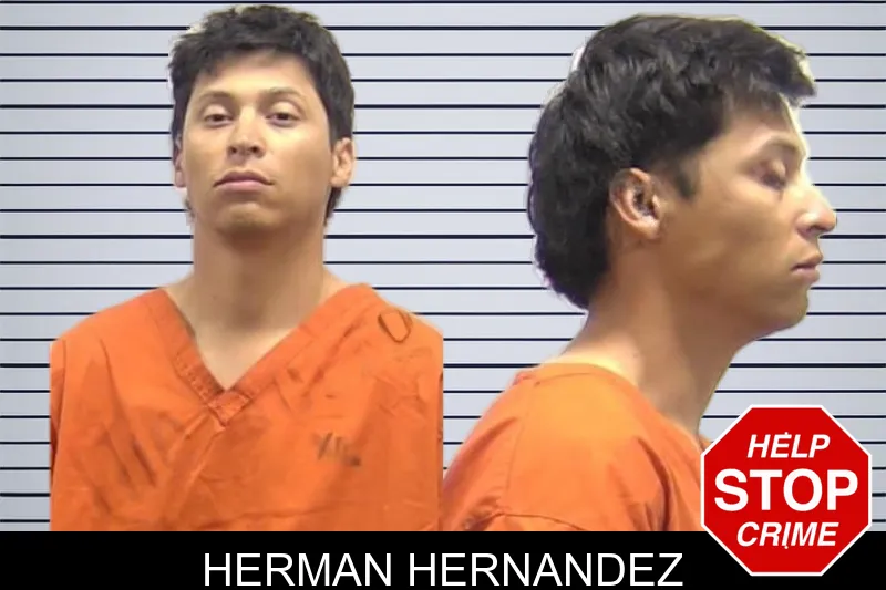 Herman Hernandez mugshot