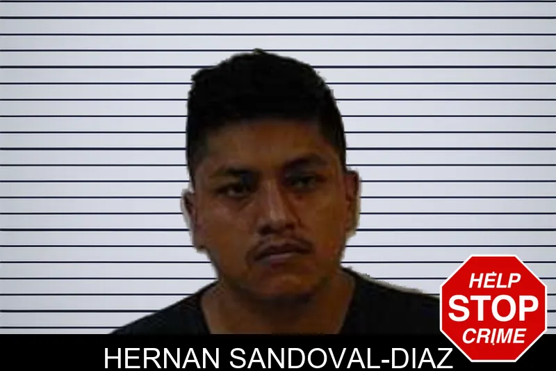 Hernan Sandoval-Diaz mugshot