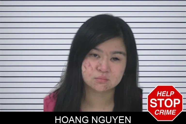 Hoang Nguyen mugshot – Fayette County , Georgia Hoang Nguyen
