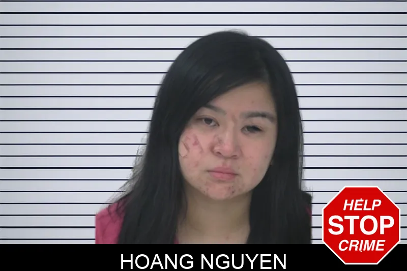 Hoang Nguyen mugshot