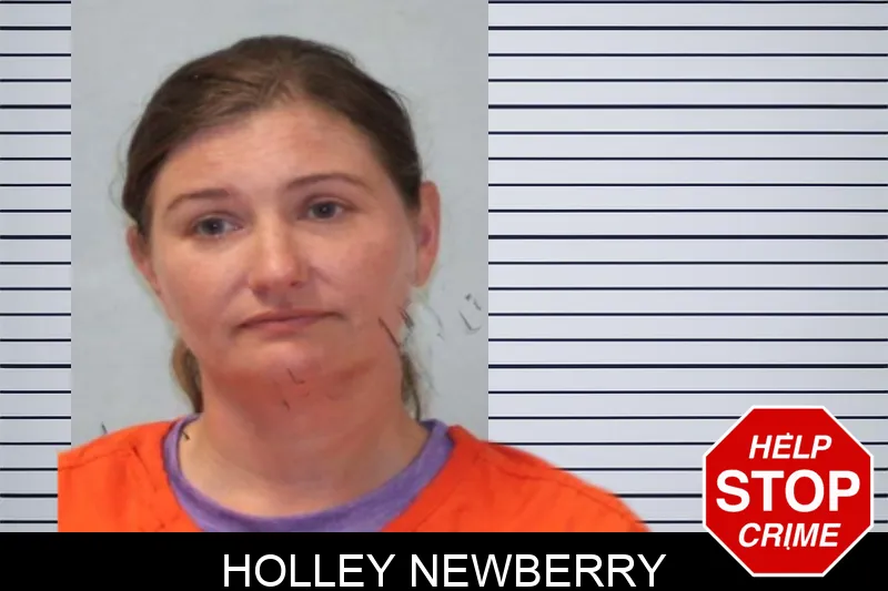 Holley Newberry mugshot