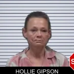 Hollie Gipson mugshot