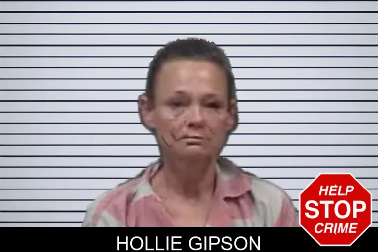Hollie Gipson