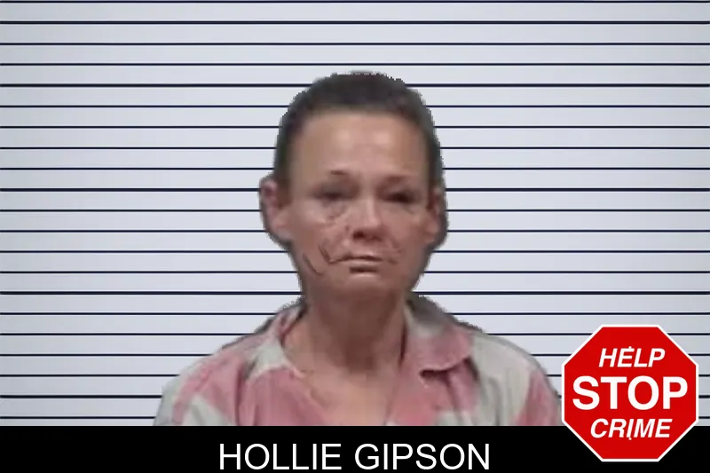 Hollie Gipson mugshot