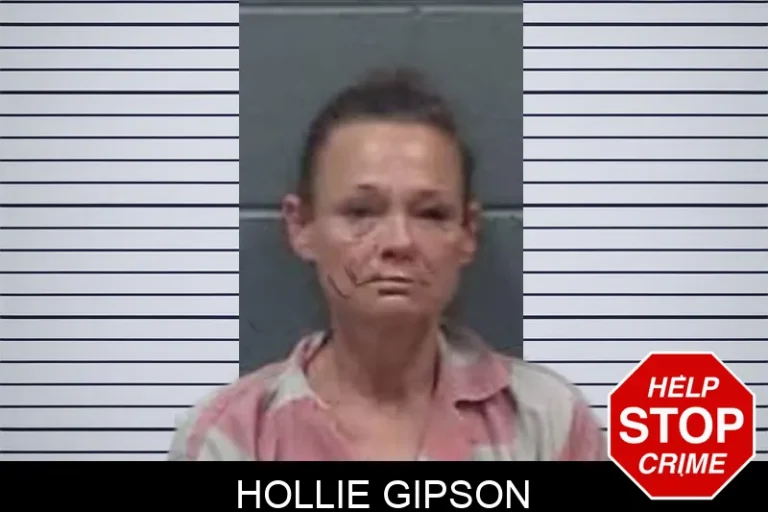 Hollie Gipson mugshot – Oglethorpe County , Georgia Hollie Gipson
