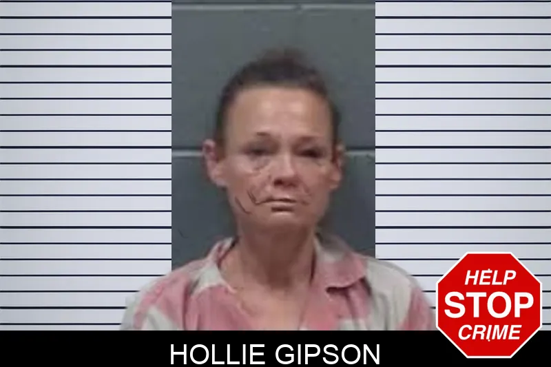 Hollie Gipson mugshot – Oglethorpe County , Georgia Hollie Gipson mugshot