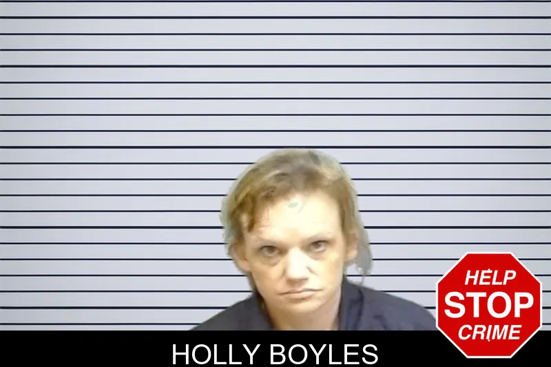 Holly Boyles mugshot