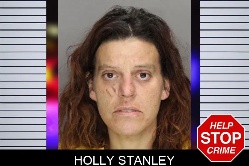 Holly Stanley mugshot – Cobb County , Georgia Holly Stanley mugshot