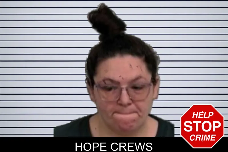 Hope Crews mugshot – Jeff Davis County , Georgia Hope Crews mugshot