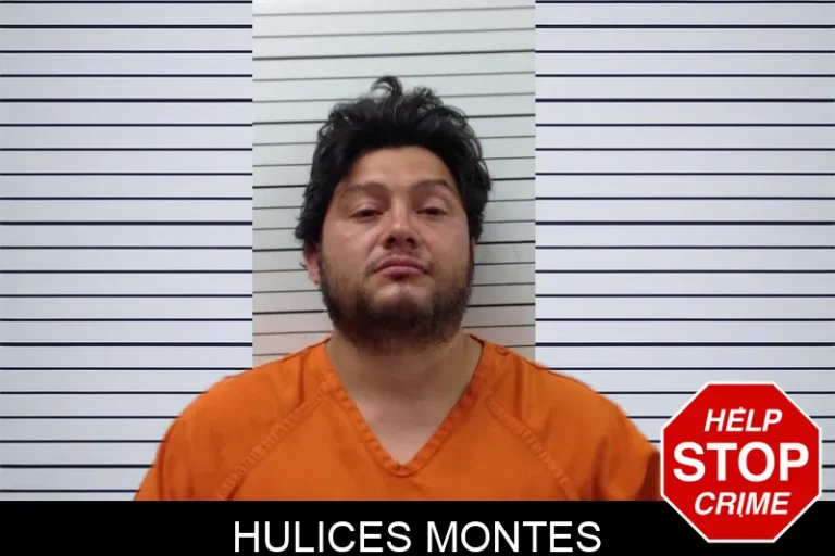 Hulices Montes mugshot – Pickens County , Georgia Hulices Montes