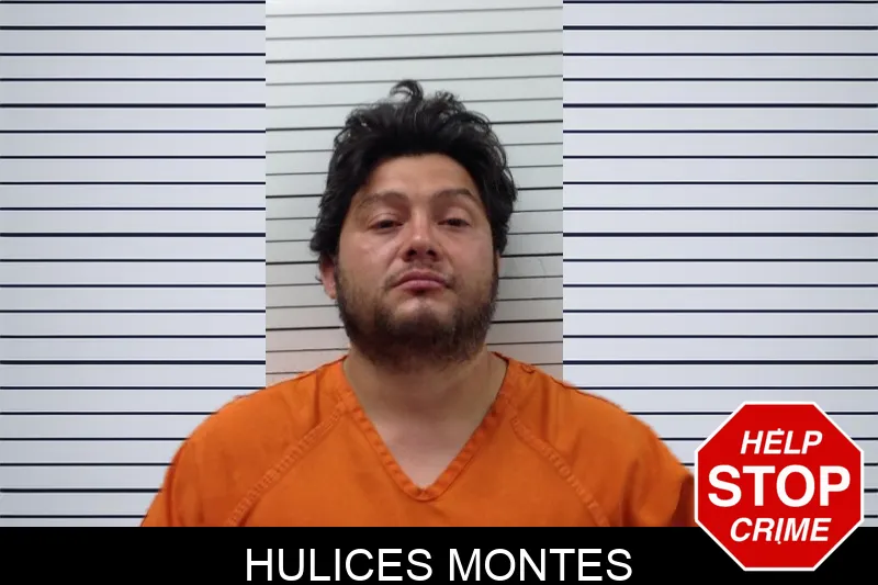 Hulices Montes mugshot