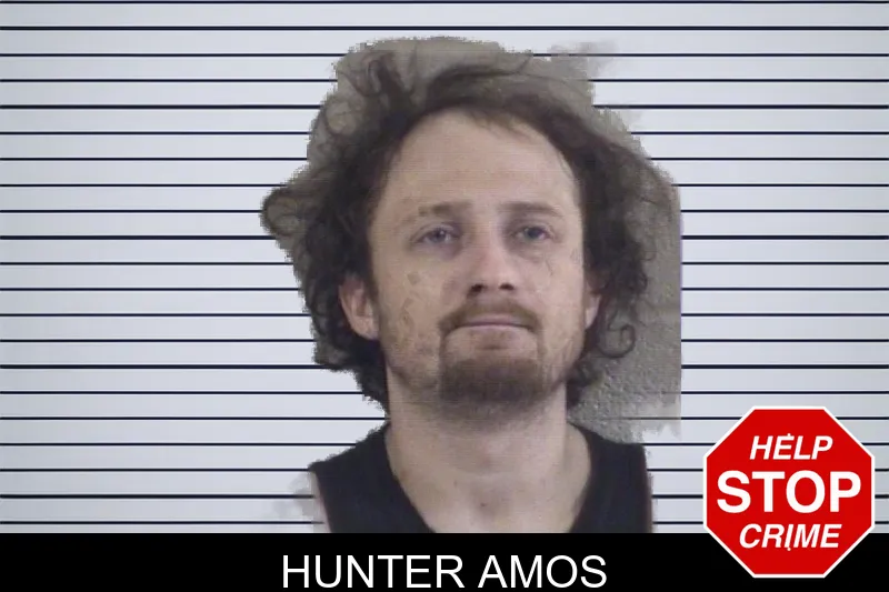Hunter Amos mugshot